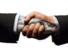 limpfishhandshake